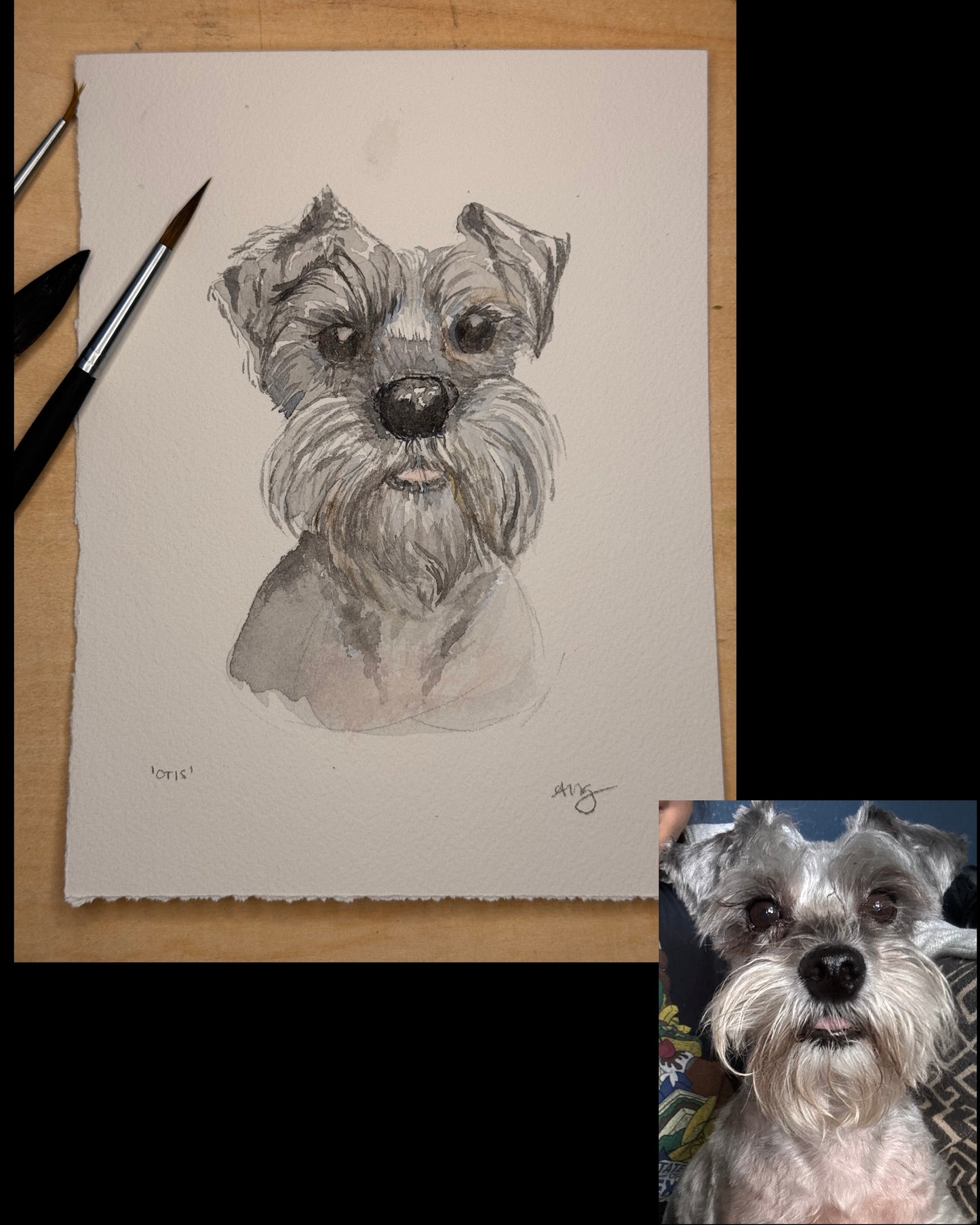 Customized Pet Portrait